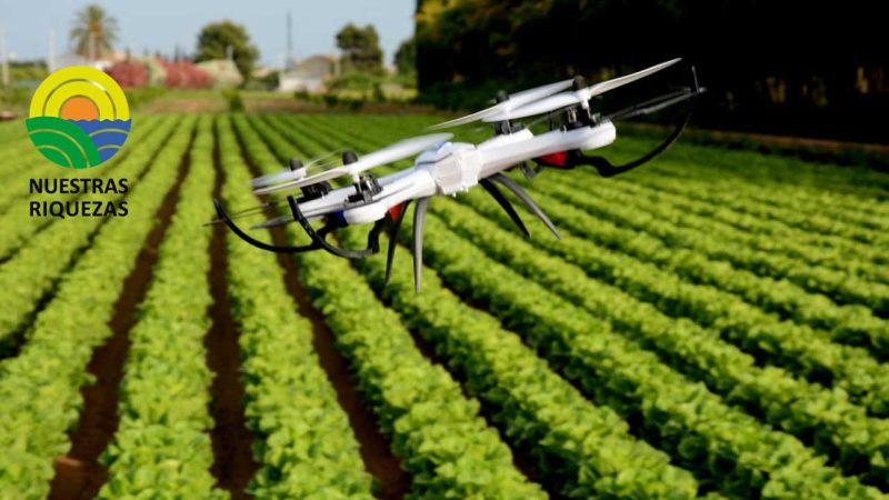 Israel, país altamente tecnificado en el agro lleva sus tecnologías a Chile 