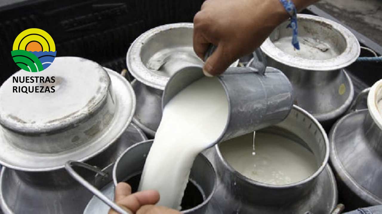 MAG asegura que controlará que se cumpla la ley de la leche 