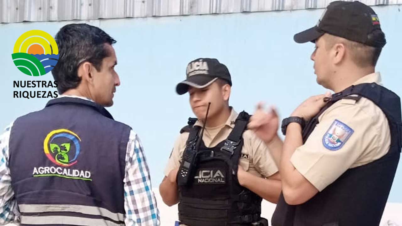 MAG y Agrocalidad continúan ejecutando controles a centros de faenamiento artesanal de aves