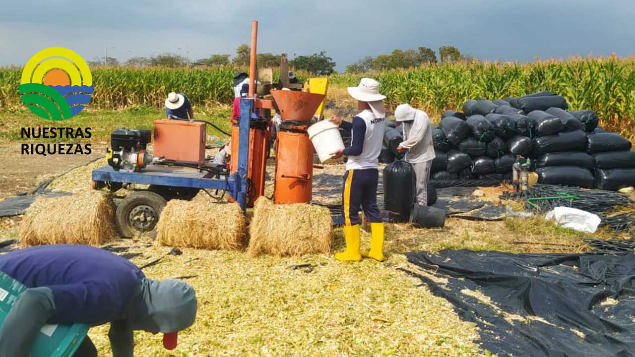 PREFECTURA DE LOJA FORTALECE EL AGRO 