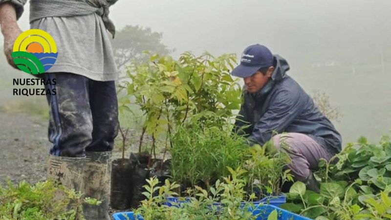 Prefectura de Loja a moradores de Cabianga, Malacatos
