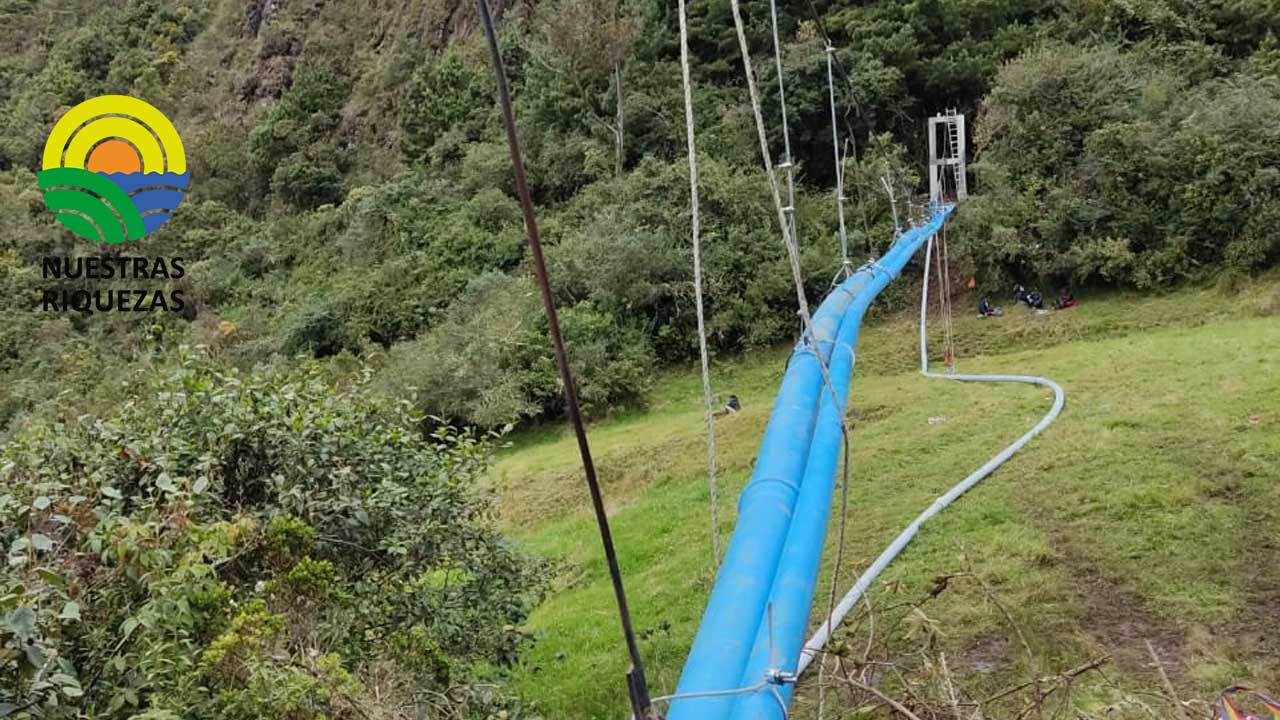 UE prohíbe importación de productos de la deforestación 