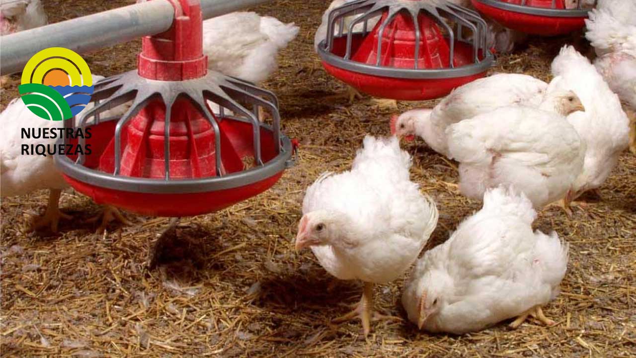 Presentado en Guardo un proyecto europeo que recuperará el nitrógeno de los purines de las granjas porcinas y avícolas 