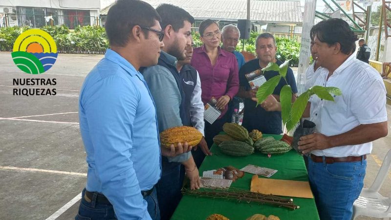 San Jacinto del Bua, provincia de Santo Domingo