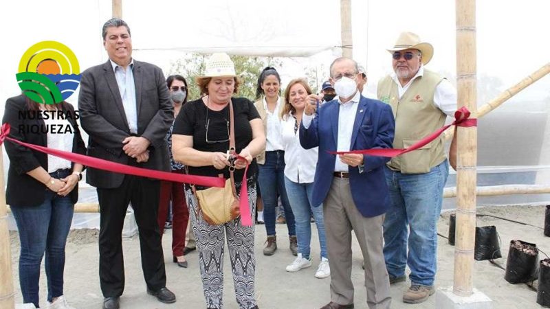 Se impulsa agricultura urbana en Guayaquil 