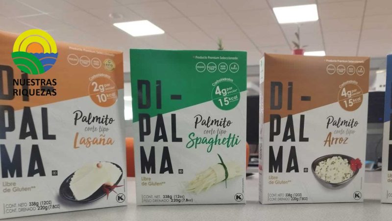 El viceministerio de promoción de exportaciones e inversiones