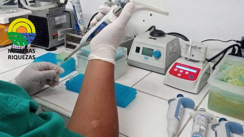 Agrocalidad realizó pruebas para la determinación de suero de quesería