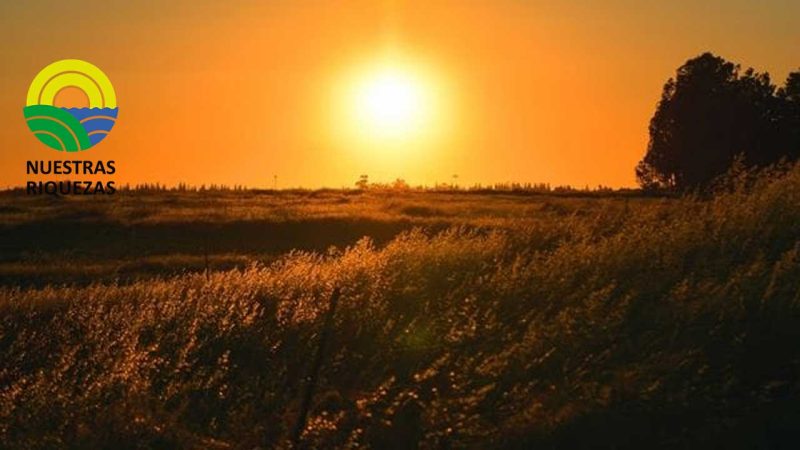 Alerta entre los fruticultores chilenos por ola de calor extrema