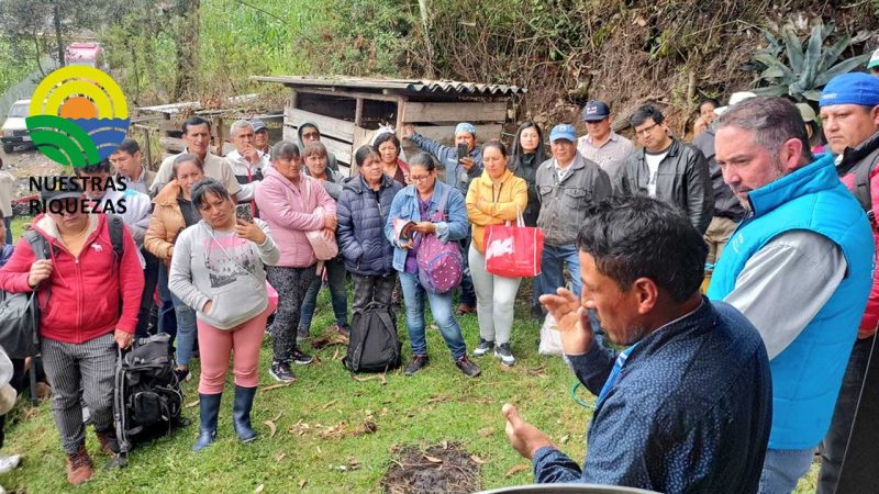 Apicultores de Ecuador y Perú analizan alternativas para desarrollar el sector