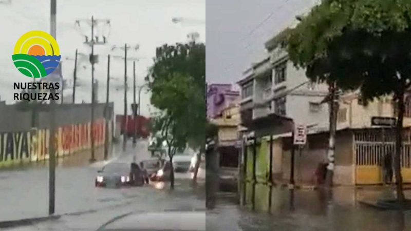 Carnaval: cinco provincias registraron las mayores afectaciones