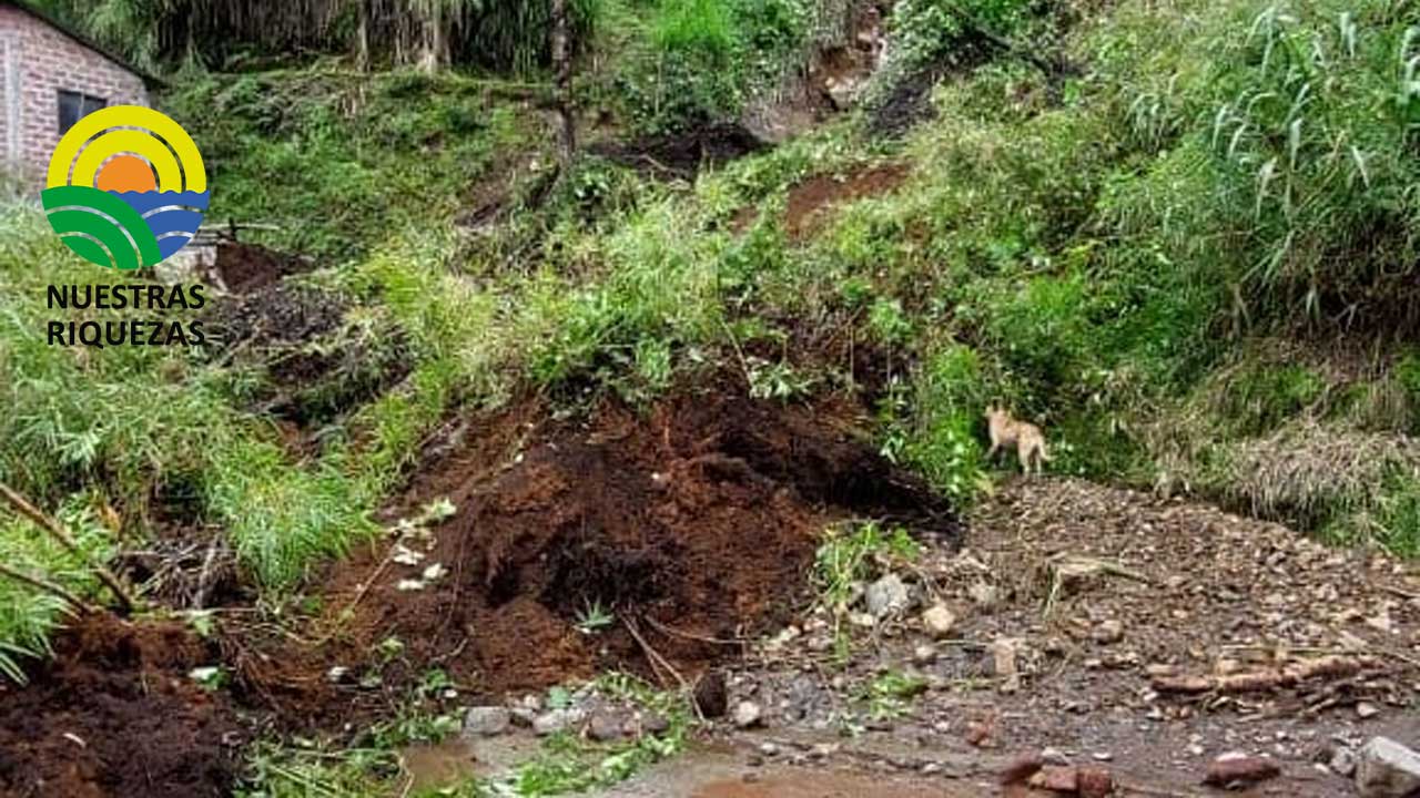 Cuatro fallecidos deja deslizamiento de tierra en Pallatanga