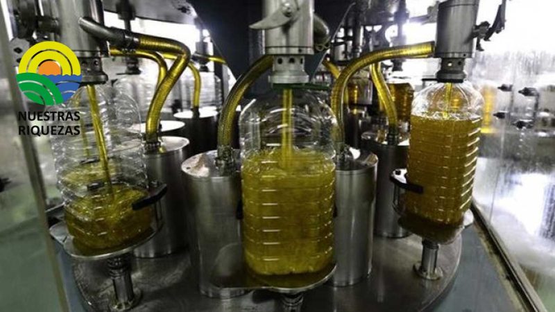 El precio del aceite sube más en el campo que en las tiendas y lastra las exportaciones