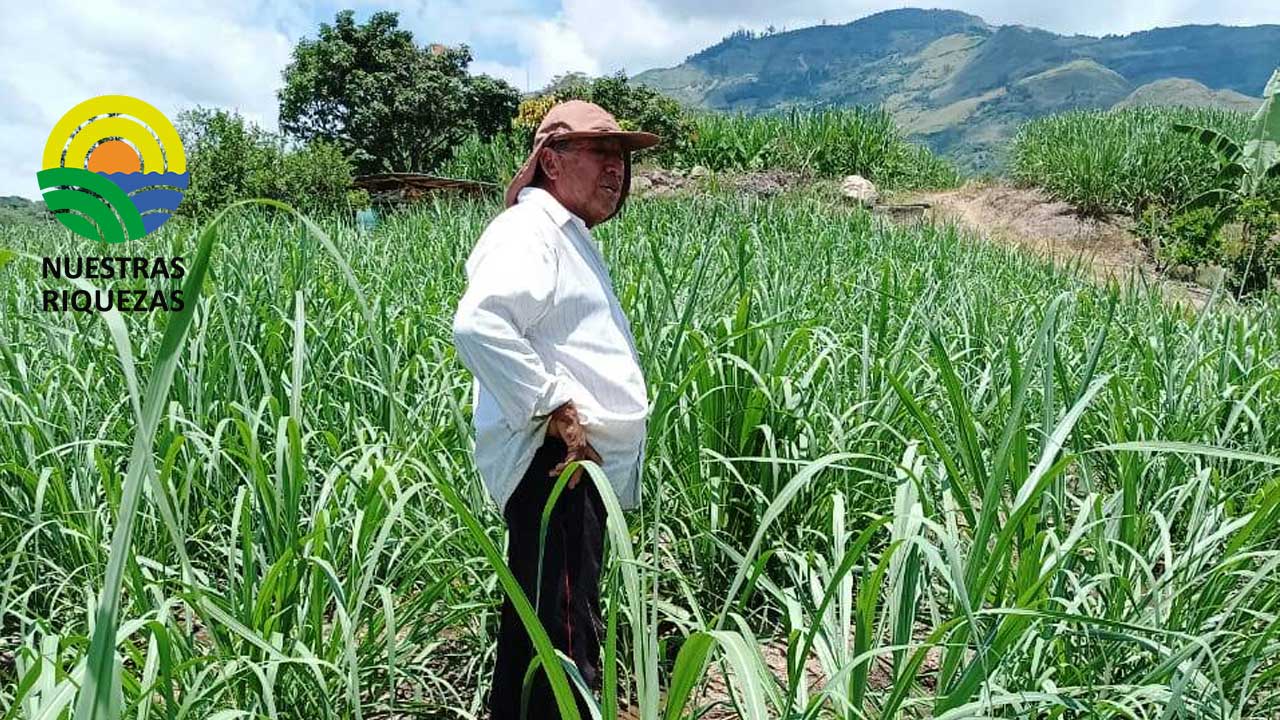 En Catamayo se fortalecen las Buenas Prácticas Agrícolas
