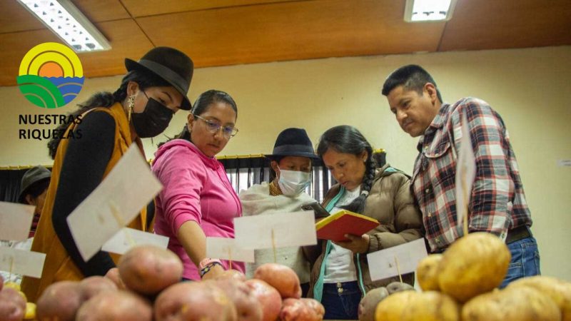 Iniap presentó resultados del programa “Apoyo al desarrollo de talento humano, innovación y transferencia de tecnología en Ecuador”