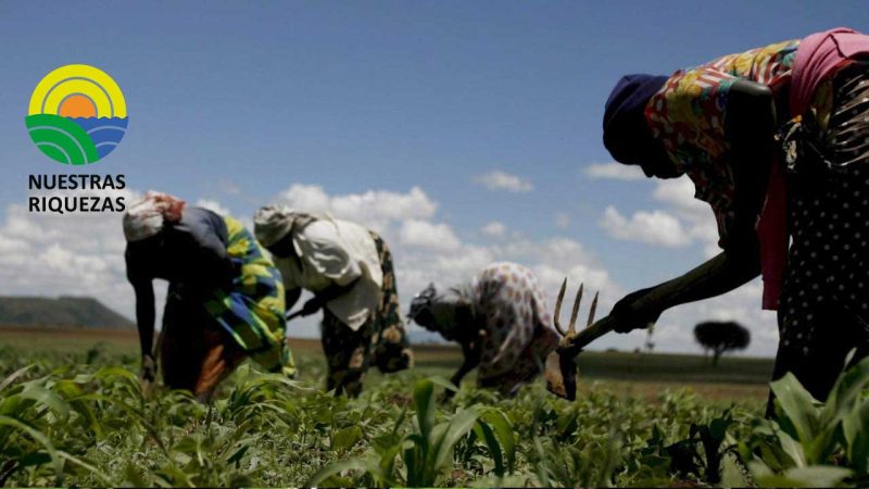 Líderes africanos se comprometen a priorizar el desarrollo de la agricultura