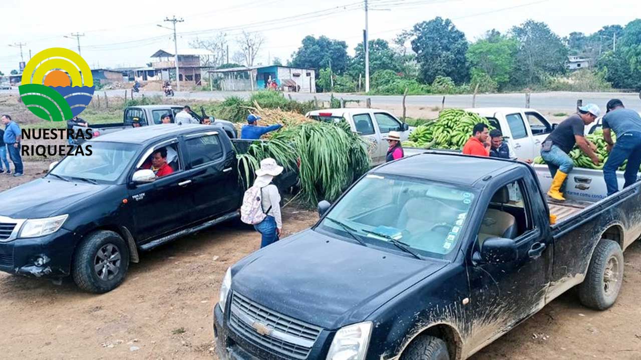 MAG entrega alimento para ganado ante la presencia de sequía en Arenillas