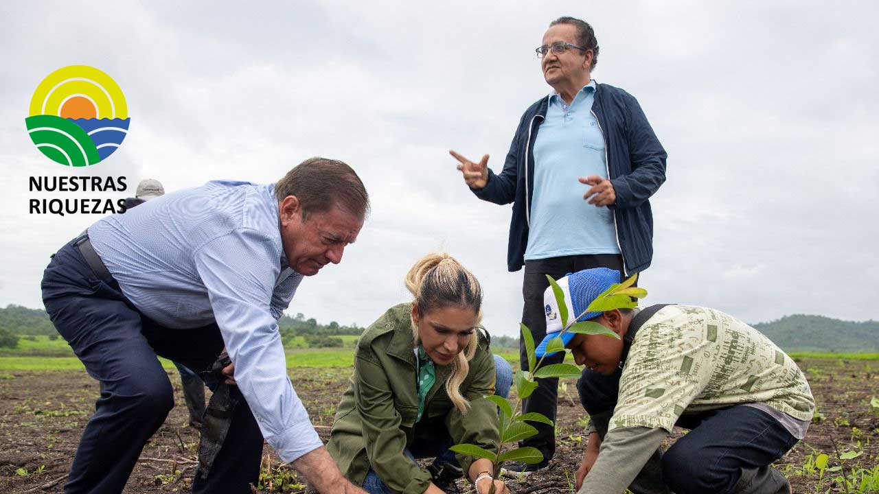 Más de 6.000 nuevos árboles son parte del programa de forestación y reforestación de la provincia,