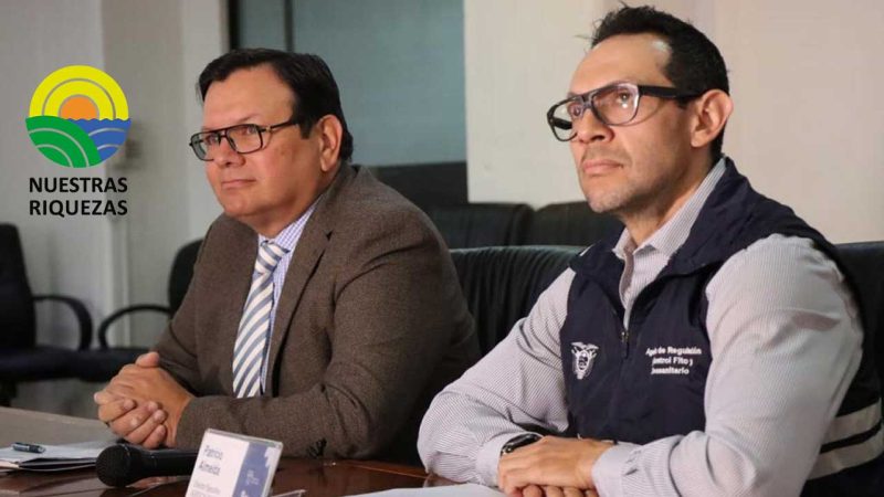 Más de dos millones de aves serán vacunadas contra la influenza aviar, en una primera fase