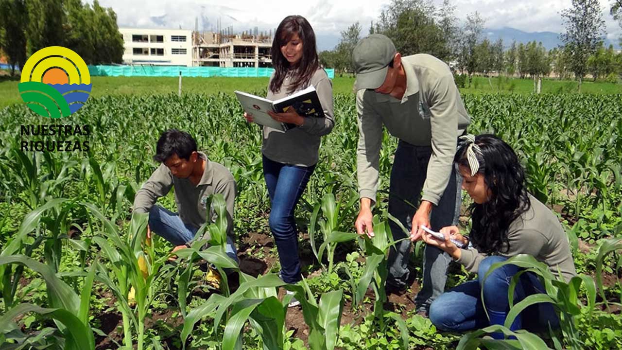 Ministerio de Educación lanza programa a favor de la educación en el agro