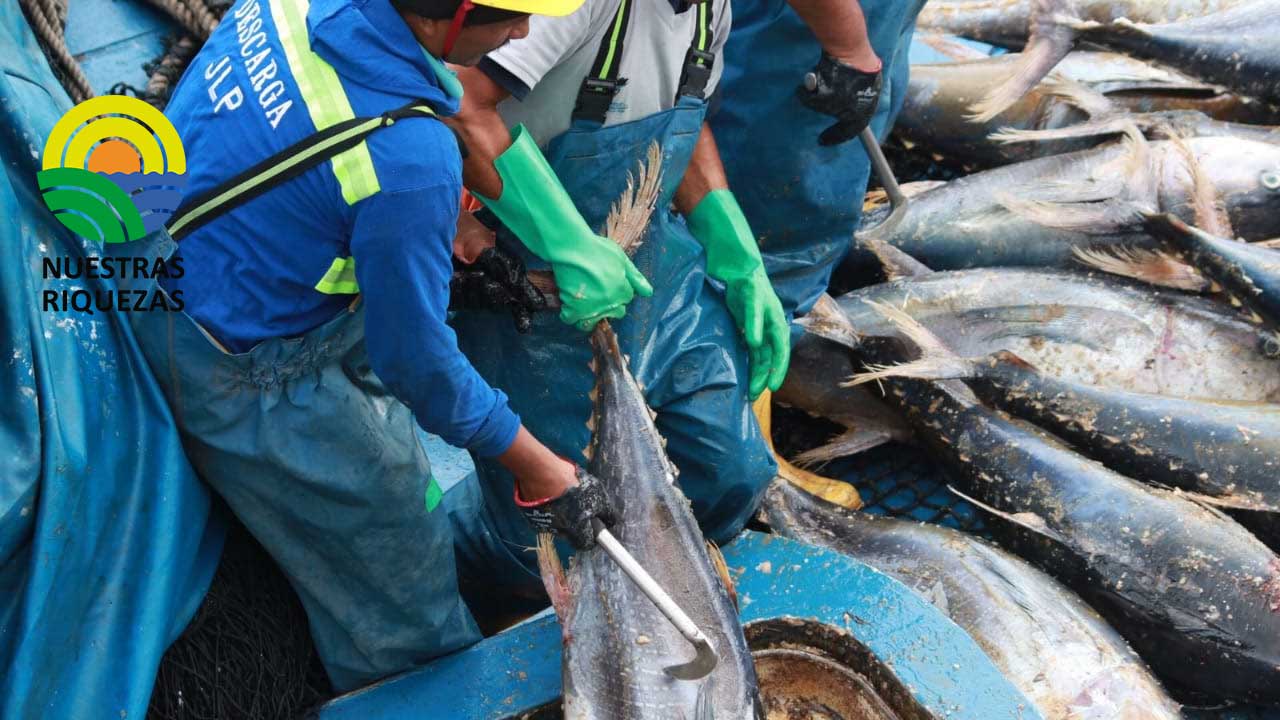 Ministro de producción, comercio exterior y pesca Julio José Prado