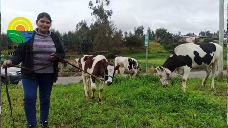 Mujeres de Tahualag fortalecen su actividad ganadera con apoyo del MAG