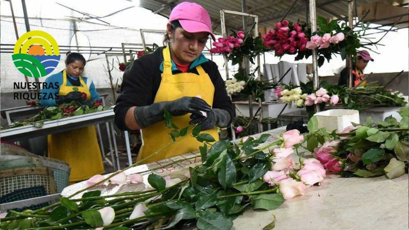Para la celebración de San Valentín