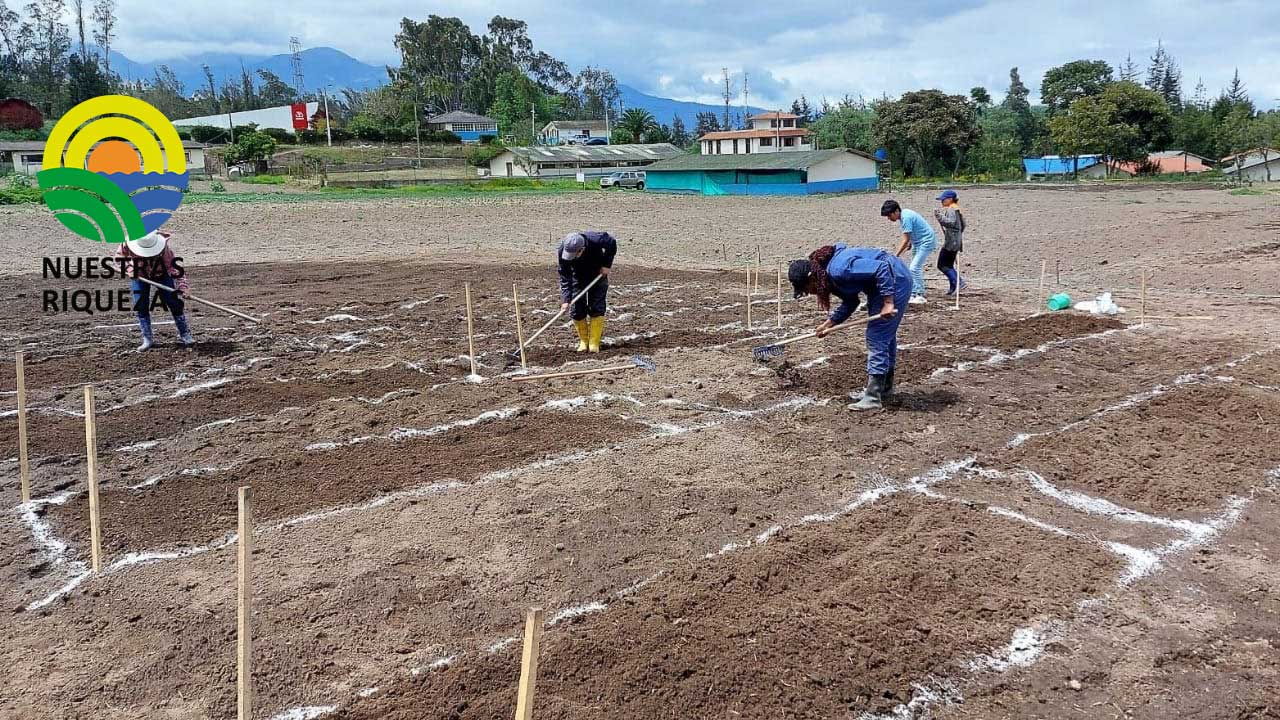 Programa de Cereales de la Estación Exp. Santa Catalina