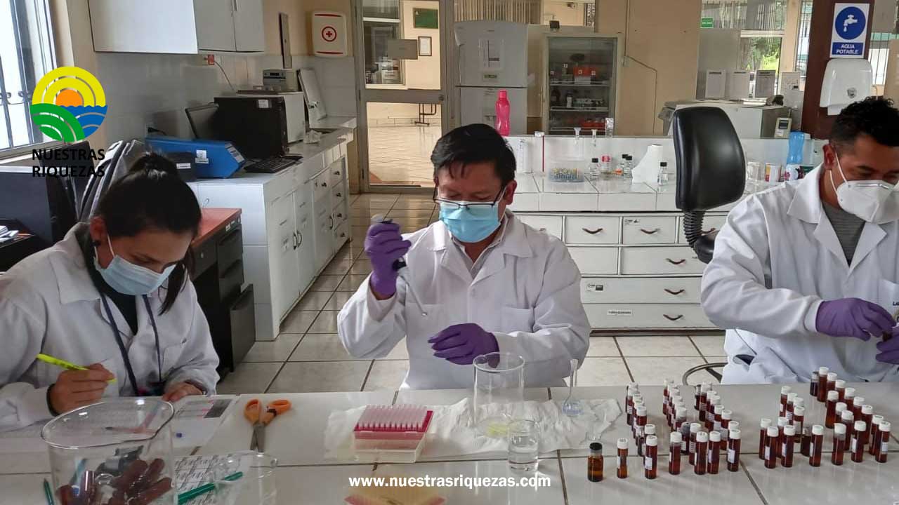 Organismo Internacional de Energía Atómica articularon acciones para el fortalecimiento