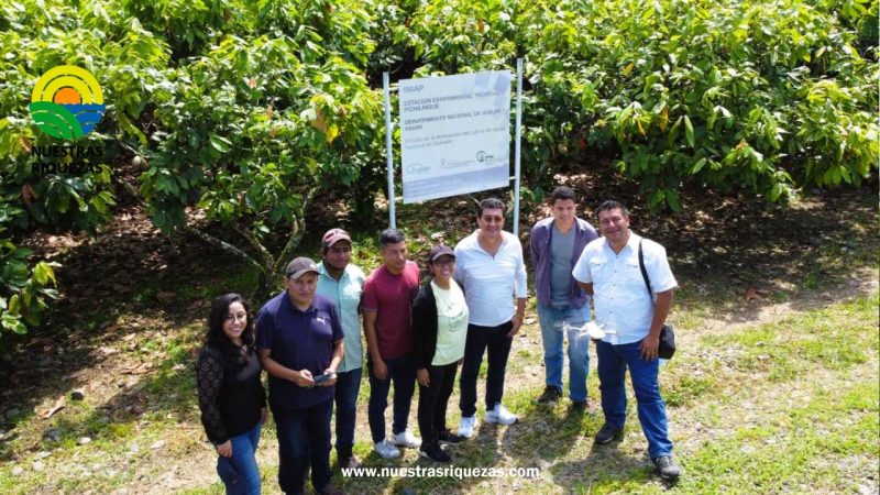 El Departamento de Manejo de Suelos y Aguas de la Estación Experimental Tropical Pichilingüe del Iniap