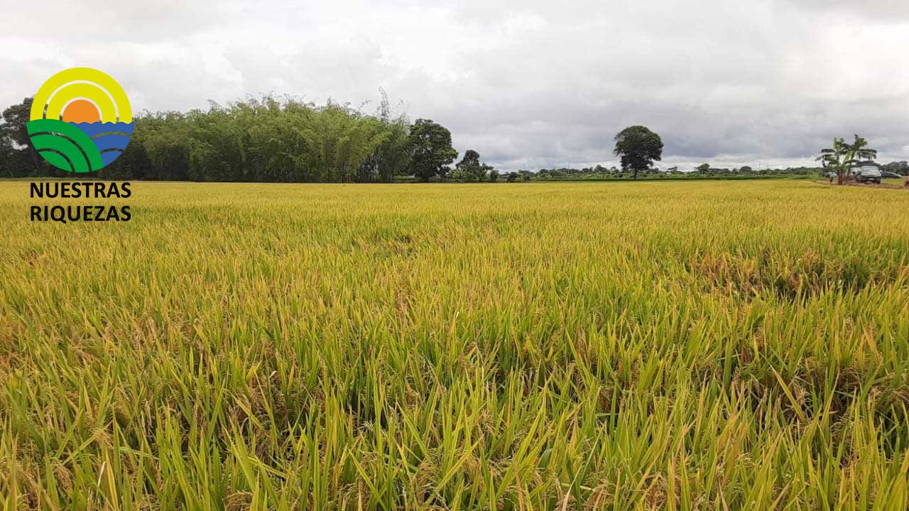 Centro de Investigación CINAR