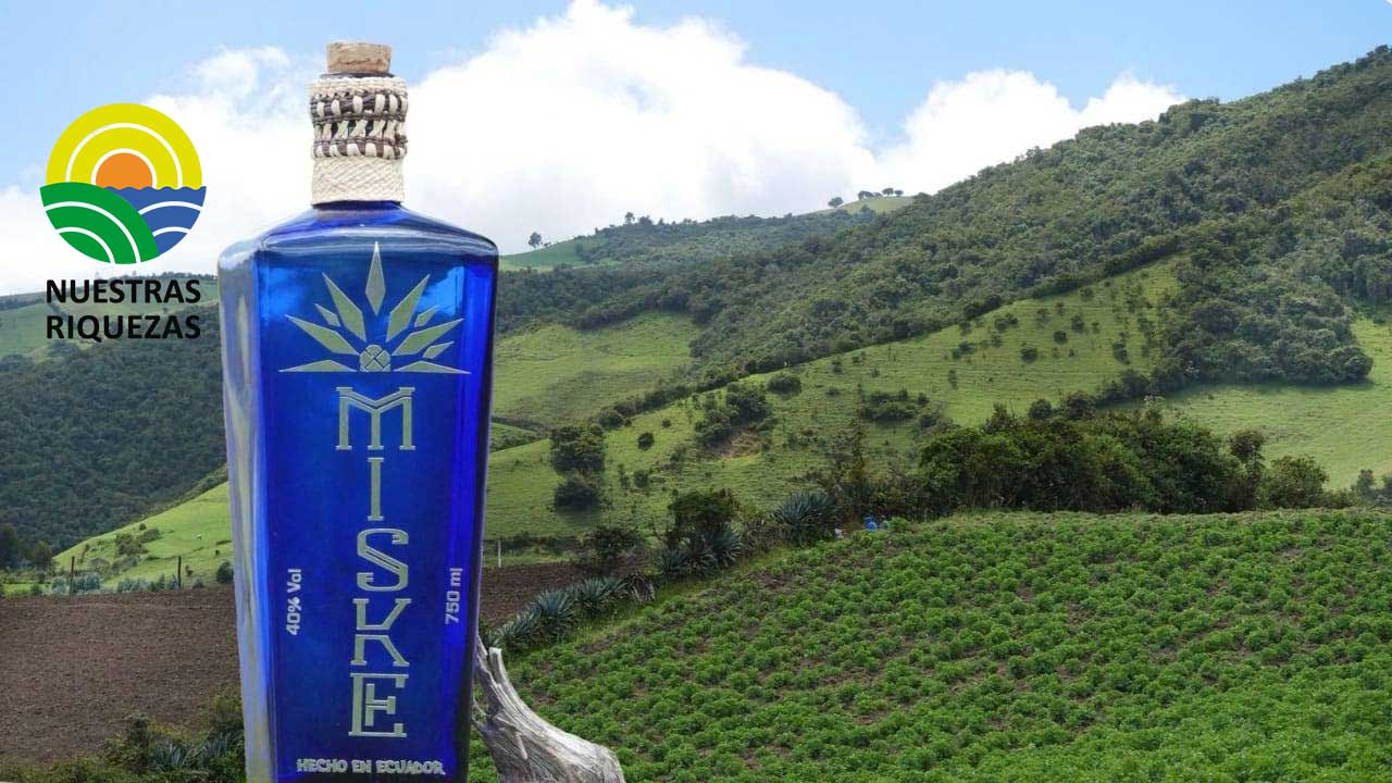 La declaración de Denominación de Origen al Miske ecuatoriano