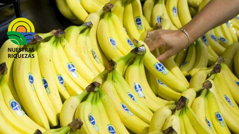 La novena edición del congreso internacional de banano