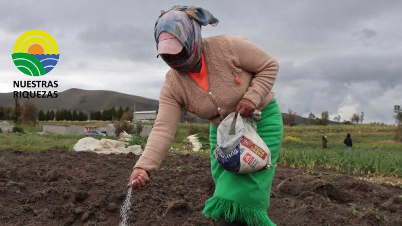 Más productores serán beneficiados con urea en la nueva etapa de entrega