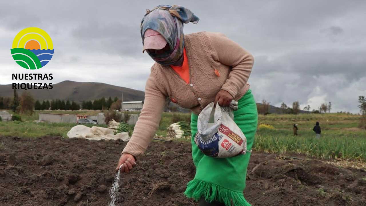 Más productores serán beneficiados con urea en la nueva etapa de entrega
