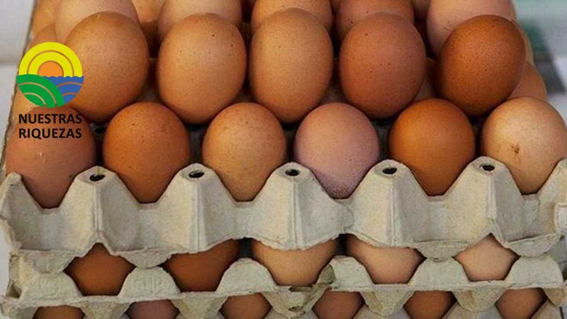 Precio de la cubeta de 30 huevos subió a USD 4 y 4,50 en Ecuador
