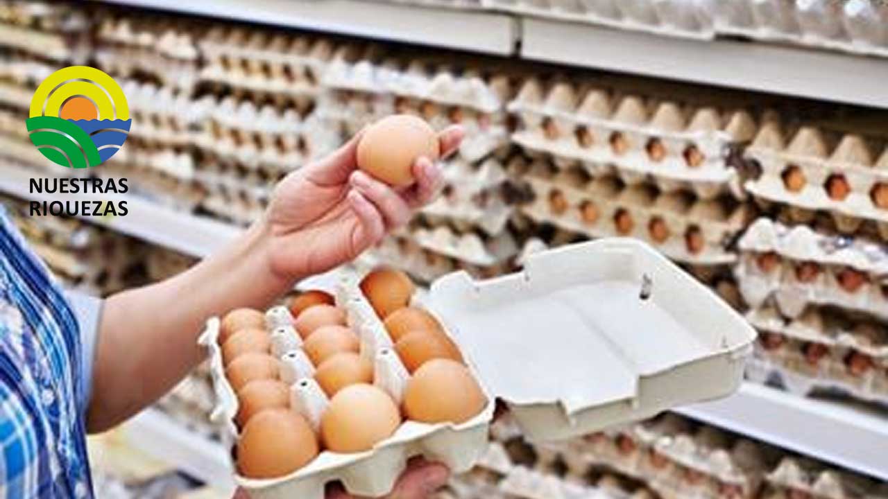 Precio de los huevos se incrementa un 20% en Ecuador por gripe aviar