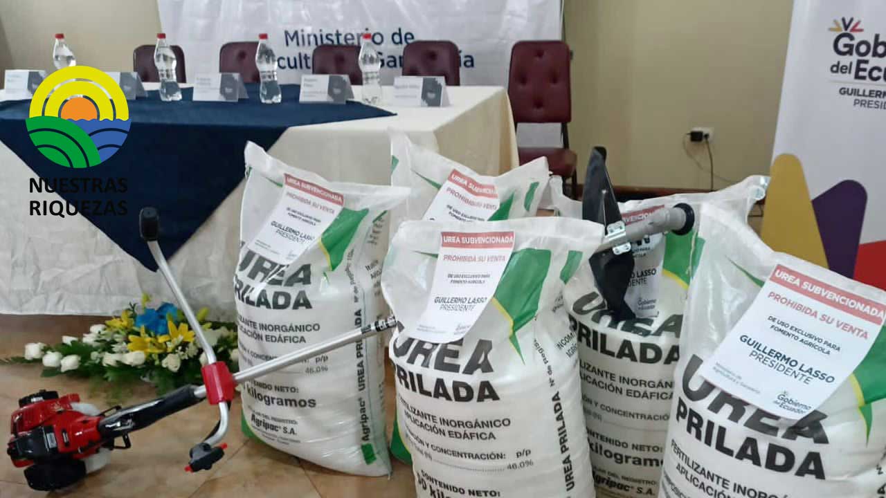 Productores de Azuay reciben insumos para fortalecer su producción