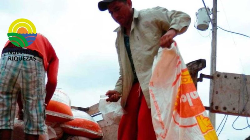 Sector agrícola advierte un posible fenómeno de El Niño a finales de año que podría afectar cultivos de arroz, banano y maíz