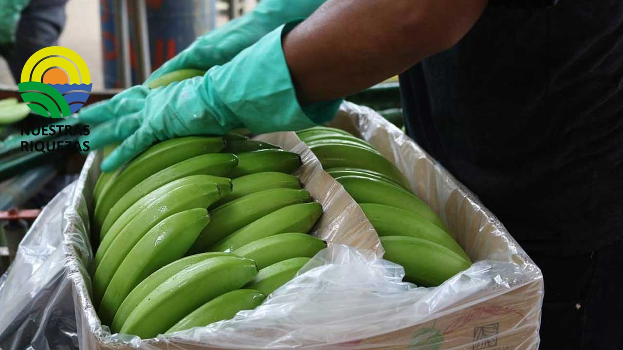 Acuerdo comercial entre Ecuador con las Repúblicas de China y Costa Rica