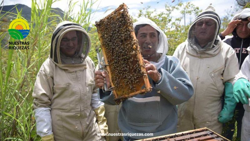 Apicultores de Guachapala emprenden con valor agregado