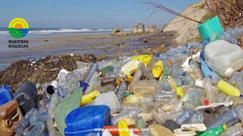 Contaminación generada por plásticos