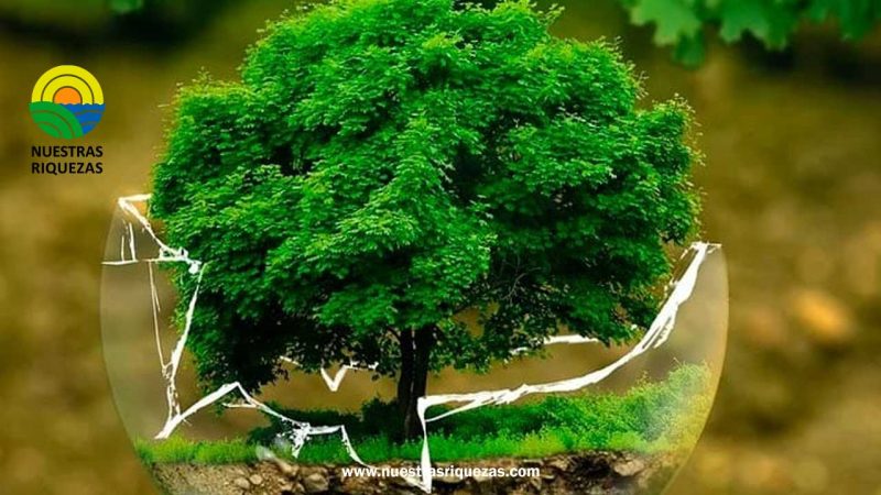 Doble deducibilidad de impuestos para apoyo a proyectos ambientales