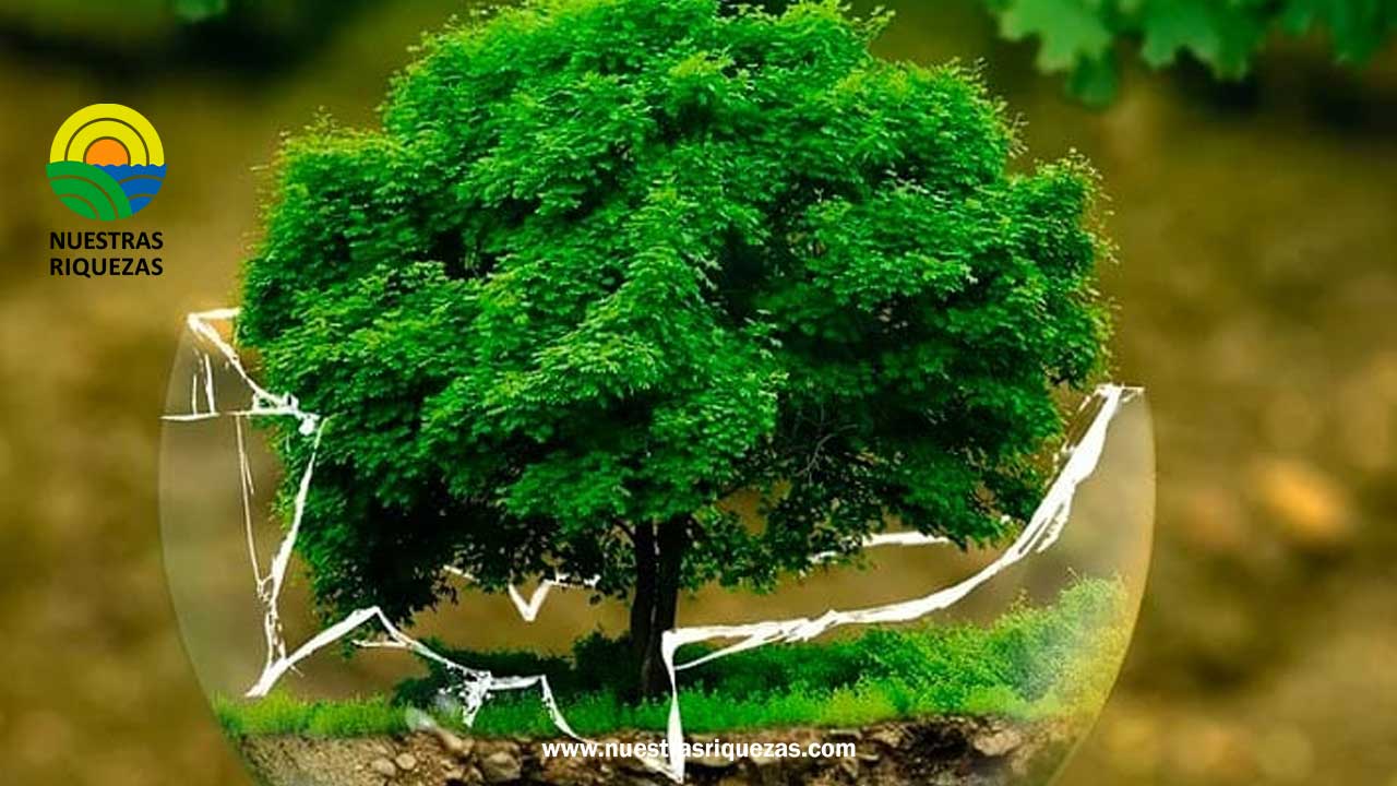 Doble deducibilidad de impuestos para apoyo a proyectos ambientales