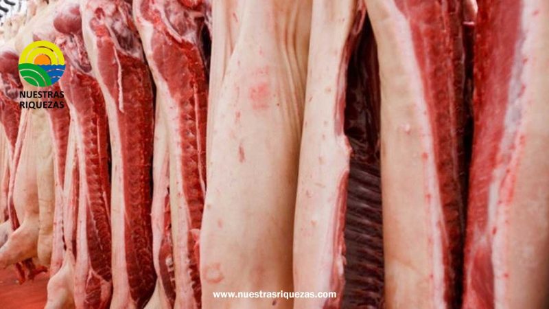 Ecuador exportó por primera vez carne de cerdo