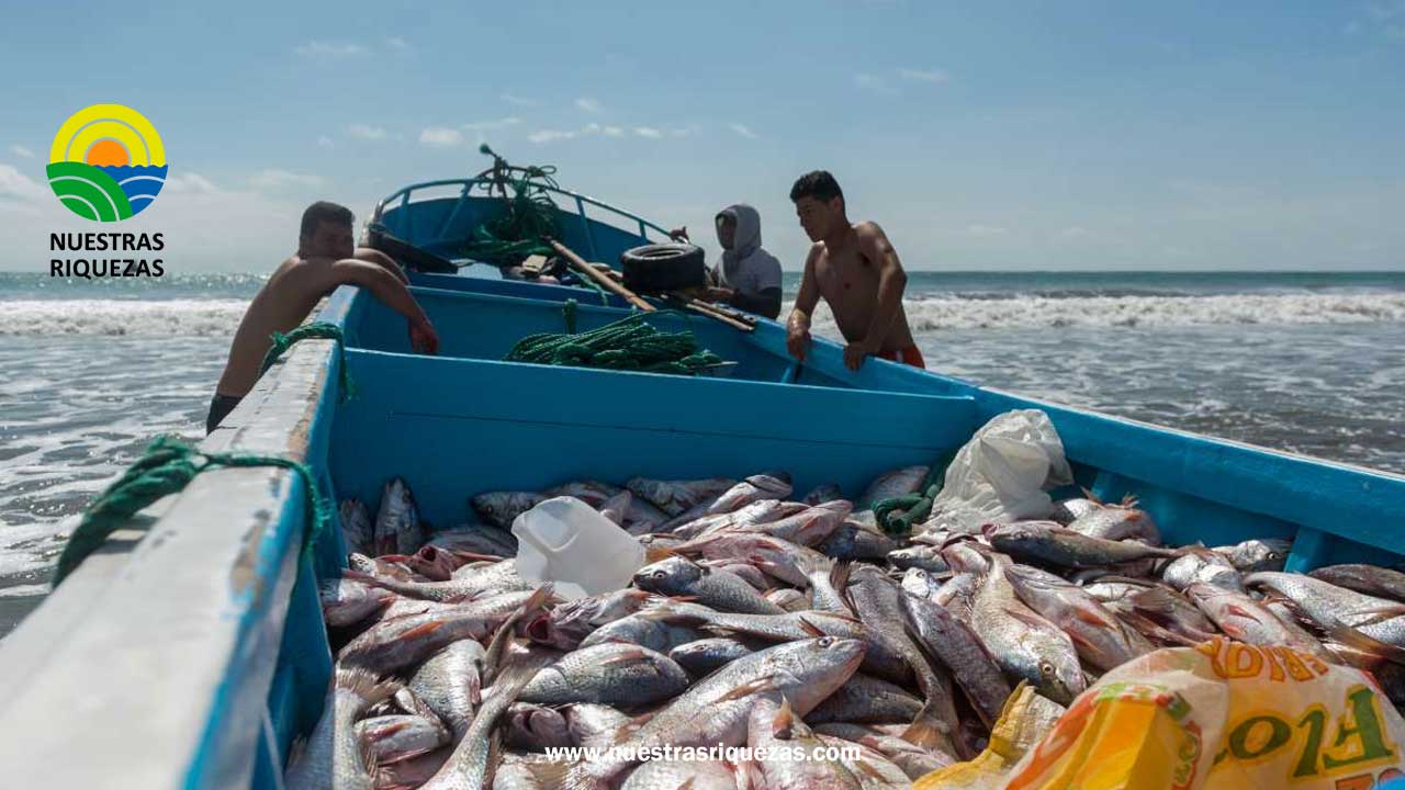 El Producto Interior Bruto (PIB) de Ecuador creció un 2,9% en 2022