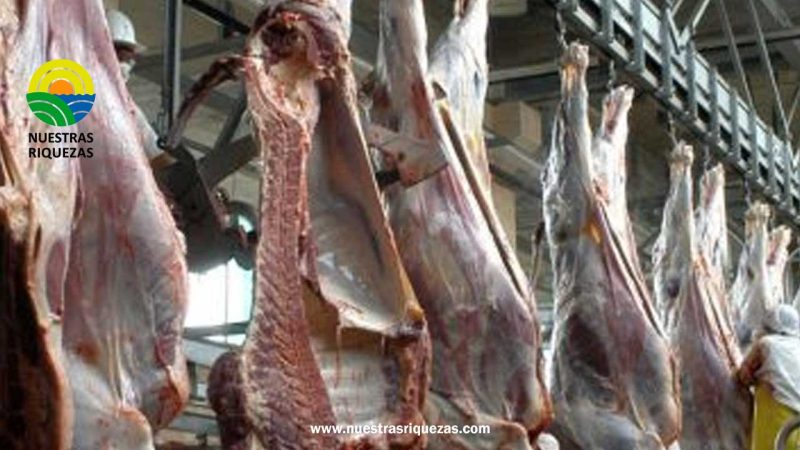 Impulsada por la sequía, aumentó en marzo la faena vacuna y se ‘atenuó’ la suba de la hacienda