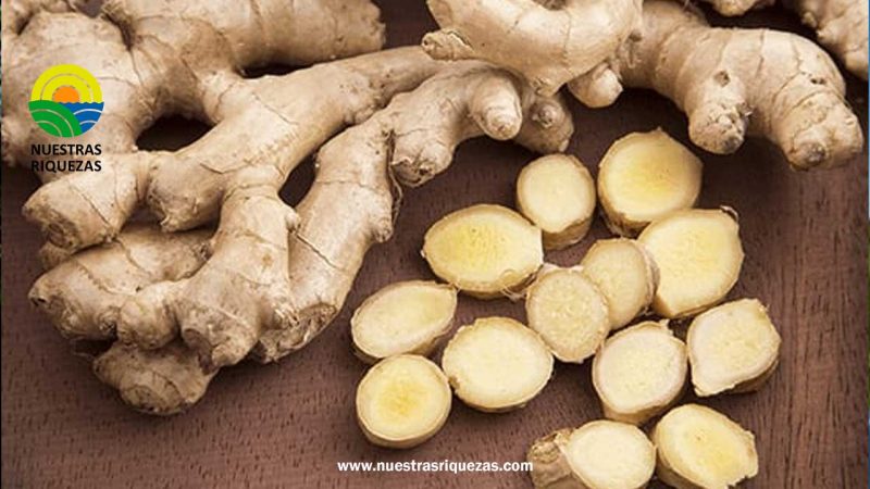 La disponibilidad de jengibre en todo el mundo continúa siendo fuerte
