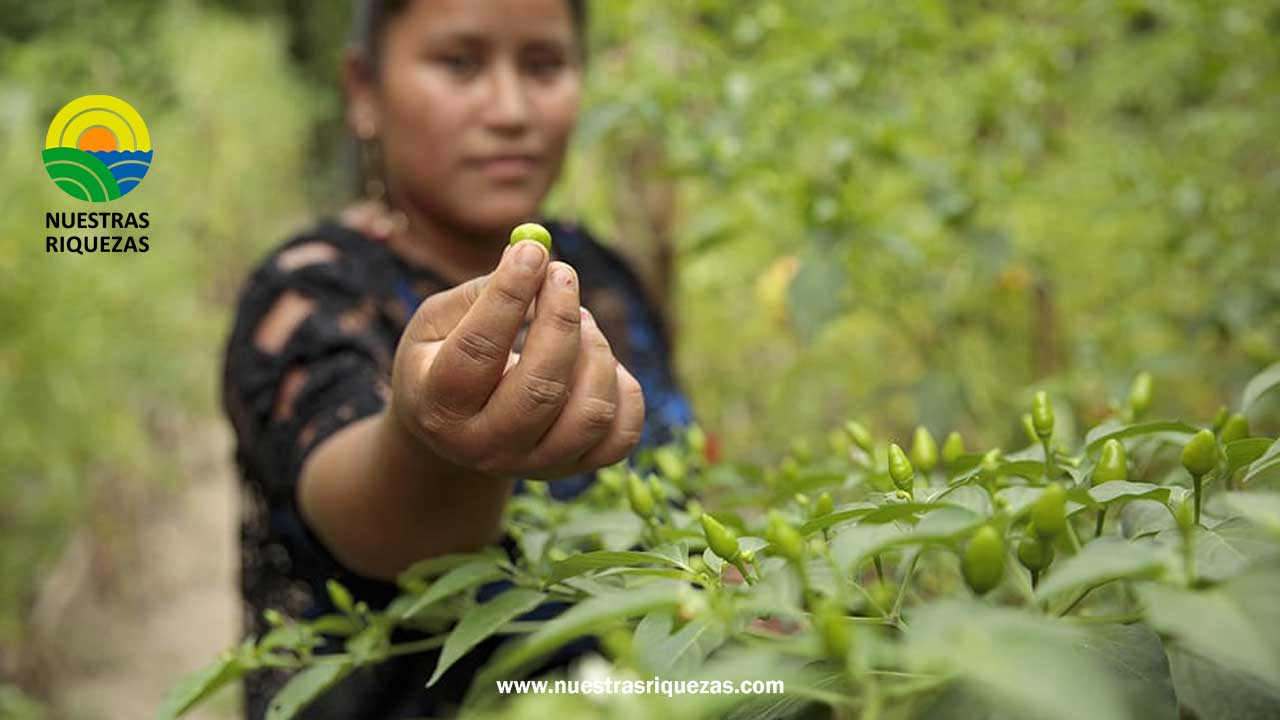 La universidad Argentina de el Gran Rosario (UGR)
