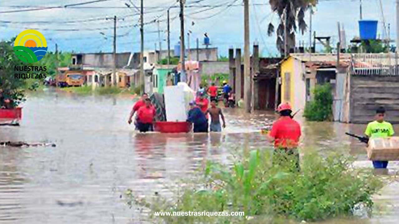 Más de 8.000 hectáreas de cultivos se pierden por las fuertes lluvias e inundaciones