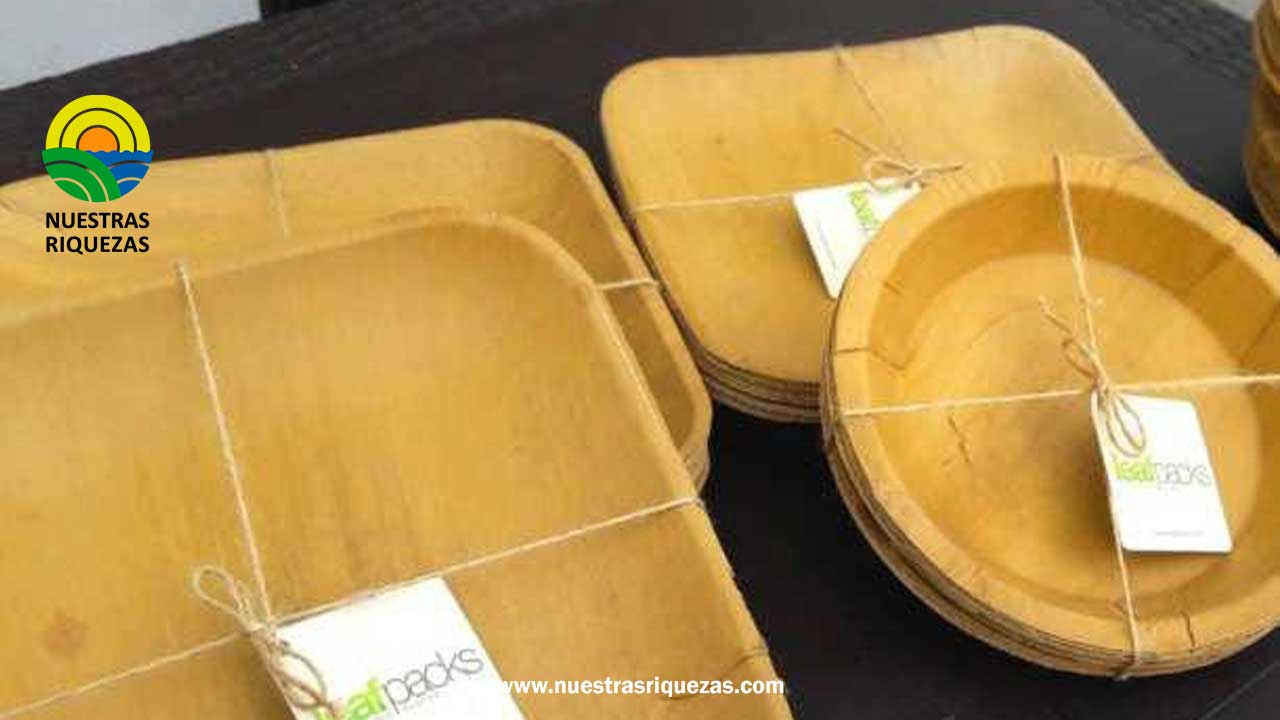 Mipymes y proyectos climáticos reciben financiamiento